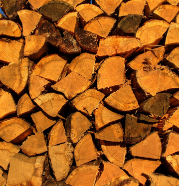 Best firewood for sale