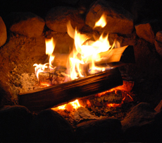 Campfire Wood
